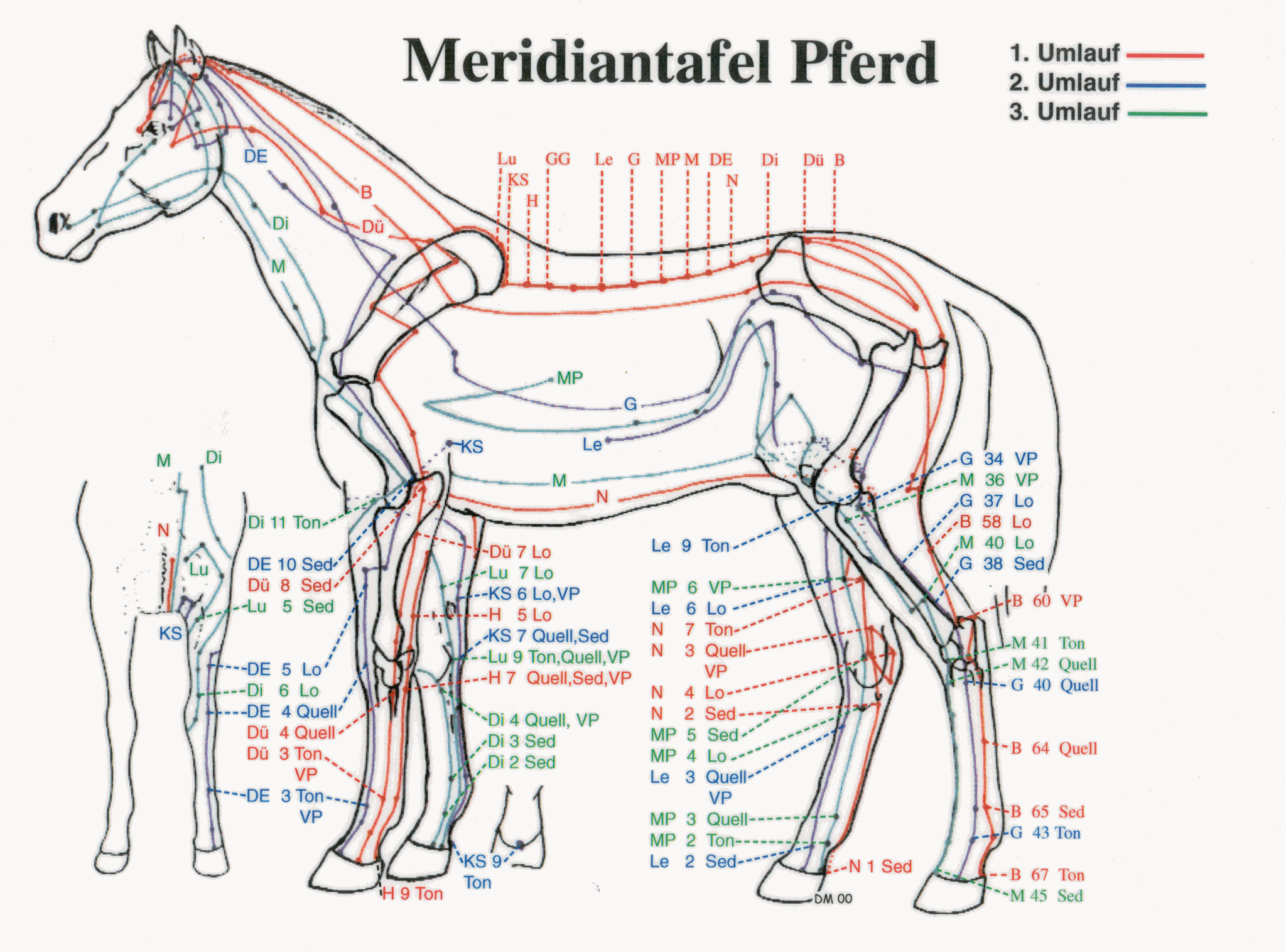 Meridiantafel Pferd